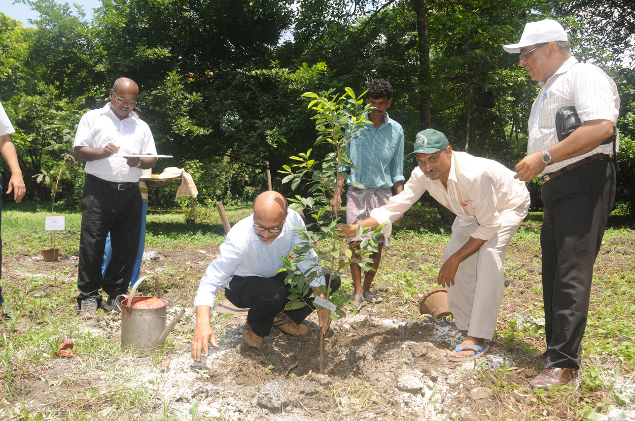 14-Plantation by Er A.K. Pathak, Scientist G, BSI, HQ